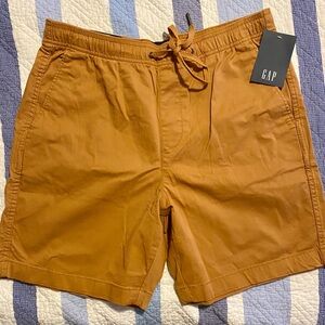 GAP Brown and Black Striped Waist Shorts